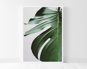 Monstera Deliciosa Minimalist Close-Up Photography, Botanical Print, Green Tropical Leaf Printable Wall Art, Digital Download