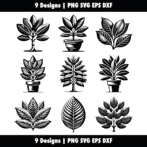Ficus Elastica Bundle, India Rubber Plant, svg png eps dxf, Rubber Tree Silhouette Cricut, Vector Cut, Stencil Clipart, Commercial Use