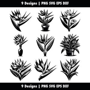 May include: Nine black and white illustrations of bird of paradise flowers in various arrangements. Some flowers are in pots, others are in vases, and some are standalone.