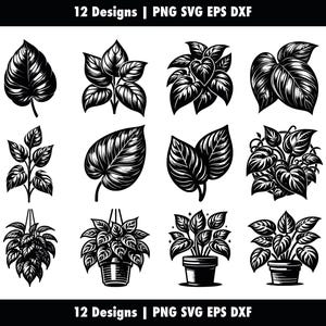 May include: Twelve black and white illustrations of various houseplants. The illustrations are in a vintage style and include a variety of leaf shapes and arrangements.  12 Designs | PNG SVG EPS DXF