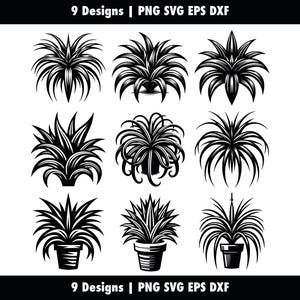 Paquete de planta araña, hiedra araña en maceta, svg png eps dxf, silueta de planta de avión Cricut, corte vectorial, clipart de plantilla, uso comercial