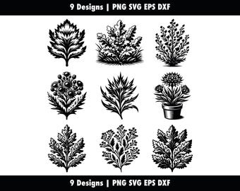 Dusty Miller Bundle, Silver Dust Leaves, svg png eps dxf, Silver Ragwort Silhouette Cricut, Vector Cut, Stencil Clipart, Commercial Use