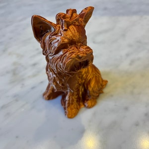 Perro Yorkshire Terrier modelo 3D disponible en negro, marrón oscuro, marrón claro, dorado, blanco, óxido y tostado