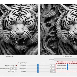 K&ouml;nnte beinhalten: Ein Schwarzwei&szlig;bild einer Tigerskulptur mit aufwendigen Details. Das Bild ist in zwei Abschnitte unterteilt, die verschiedene Blickwinkel auf die Skulptur zeigen. Das Bild wird verwendet, um die Funktionen der Bildbearbeitungssoftware zu demonstrieren, darunter "Enhance Radius" und "Enhance Amount".