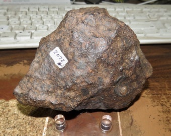 Beautiful 2072 gram  Gibeon Natural Iron Meteorite from Namibia museumGrade 4.55 LBS