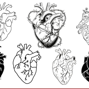 Anatomical Heart svg bundle, Flower Heart Svg, Human Heart Svg, Anatomy Svg, Heart SVG, Medical Svg, Heart Png, Svg Files For Cricut