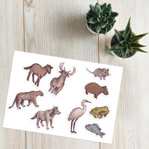 Hojas de calcomanías con ilustraciones de animales: arte natural original para planificadores, álbumes de recortes, creación de tarjetas / Diseños de capibaras, ranas, lobos, caballos y ciervos