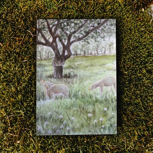 Carte postale de champ d'agneau - art de la nature printanier aquarelle - impression animal pastel - décoration maison de ferme - petite affiche aquarelle
