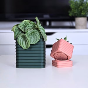 Könnte beinhalten: Zwei Pflanztöpfe, einer grün und einer rosa. Der grüne Topf enthält eine Blattpflanze und der rosa Topf eine kleine Sukkulente. Beide Töpfe haben ein geripptes Design.