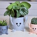 see more listings in the plant pots section