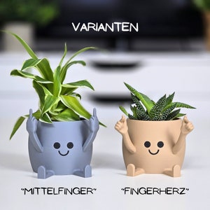 Happy Pot flower pot Middle finger Planter Gift idea Stinky fingers image 3