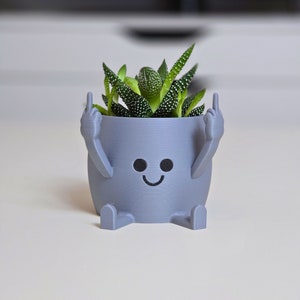 Happy Pot flower pot Middle finger Planter Gift idea Stinky fingers image 6