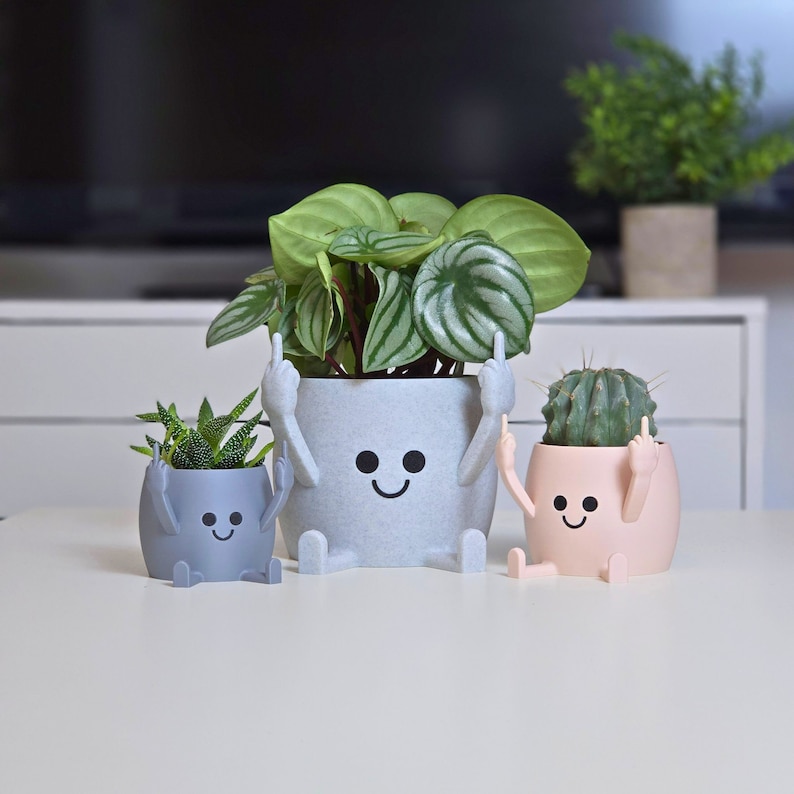 Happy Pot flower pot Middle finger Planter Gift idea Stinky fingers image 5