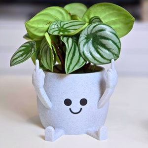 Happy Pot flower pot Middle finger Planter Gift idea Stinky fingers image 8