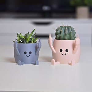 Happy Pot flower pot Middle finger Planter Gift idea Stinky fingers image 9