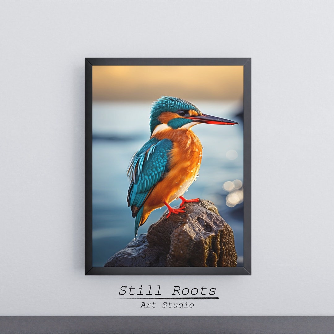 Kingfisher Wall Art, Printable Kingfisher Wall Art, Printable Wall Art, Digital Download - Etsy
