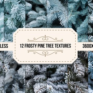 12 textures givrées de sapin, texture numérique de pin et de neige, fond de photo, papier peint d'arbre à feuilles persistantes, téléchargement numérique sans couture d'hiver