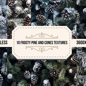 10 textures de pin, de cônes et de neige, texture numérique de pins de sapin, fond de photo, papier peint d'arbre à feuilles persistantes, téléchargement numérique sans couture d'hiver