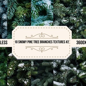 10 textures de pin et de neige #2, texture numérique de sapin enneigé, arrière-plans photo, papiers peints d'arbres à feuilles persistantes, téléchargement numérique sans couture d'hiver