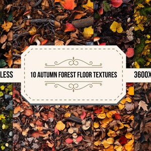 Texture fotografiche con foglie autunnali, motivi digitali sul terreno della foresta autunnale, sfondi fotografici per la foresta autunnale, carta digitale sul suolo della foresta autunnale