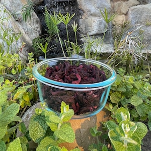 Dried Organic Jamaica Hibiscus Flower