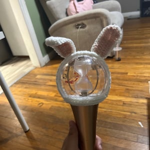 bunny Lightstick cover