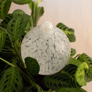 May include: White glass globe with a crackled finish, sitting amongst green leaves of a houseplant.