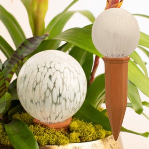 9 CM クラウド 植物用水やりグローブ、シップ スクワッド ステム入りスプリンググローブ、オールナチュラルガラスとテラコッタ、植物用灌漑システム