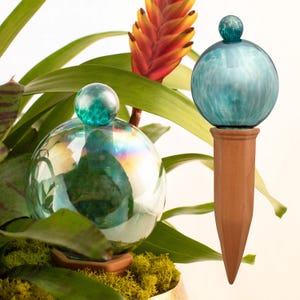 9CM TURQUOISE IRIDESCENT Plant Watering Globe, Sip Squad top filled spring globe, all natural glass and terracotta, plant irrigation system