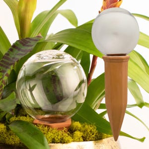 9 CM クリスタル植物用散水グローブ、シップ スクワッド ステム入りスプリンググローブ、オールナチュラルガラスとテラコッタ、植物用灌漑システム