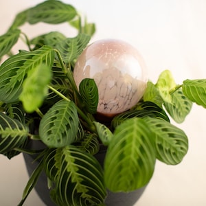 12 CM ライラック 虹色 植物用水やりグローブ、シップ スクワッド ステム入りスプリンググローブ、オールナチュラルガラスとテラコッタ、植物用灌漑