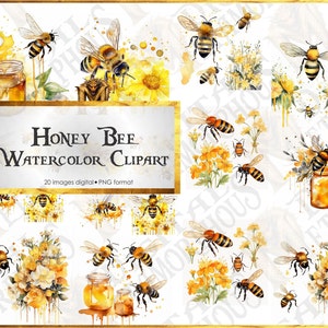 Honey Bee Watercolor Clipart, Honey drips, instant download for commercial use