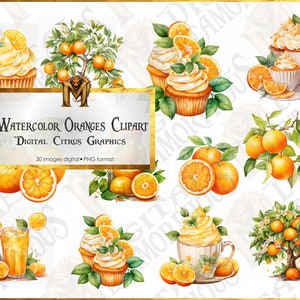 Watercolor Oranges Clipart, Digital citrus graphics, download instantly for commercial use