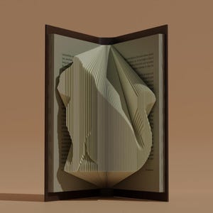 May include: A book with pages folded into a three-dimensional shape, creating a geometric design. The book is open and the folded pages are visible. The book is on a brown surface.