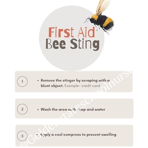 Bee Sting First Aid Infographic, School Nurse