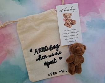 Fern paar, Freund Fern, denken an Sie Geschenk, nachdenkliche Geschenke, Taschenbär, vermissen Sie Geschenk