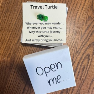Reiscadeau, reiscadeau schildpad, cadeau schildpad, zakcadeau schildpad, geluk schildpad, kaart veel geluk, veilig reizen, kleine bedelschildpad, idee verjaardagscadeau