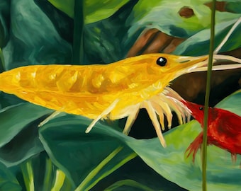 Freshwater Shrimp - Oil Painting PRINT (7.1 x 5.5 inches) - OilsByEast
