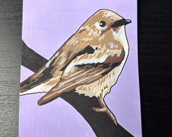 Acadian Flycatcher -  Artist Trading Card ORIGINAL (1/1) - Alphabetical Animal Series - EastridgeStudios