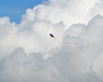 The Flight of a Kite,  A 4 Photography Print