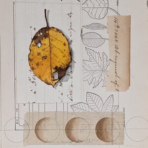settembre giallo acquerello originale collage di foglie autunnali