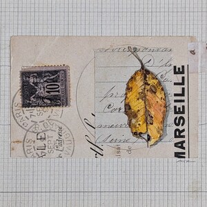 marseille original watercolor autumn leaf collage art