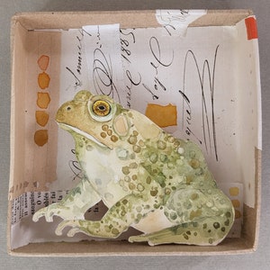 Amerikaanse pad originele aquarel collage box art