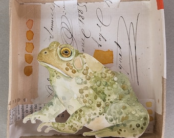 Caja de collage de acuarela original de sapo americano