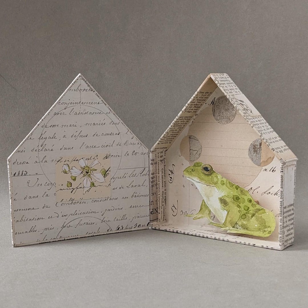 Frog Box Set Frog Box Collage - Etsy