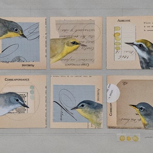 arte originale del collage di uccelli ad acquerello sei warblers