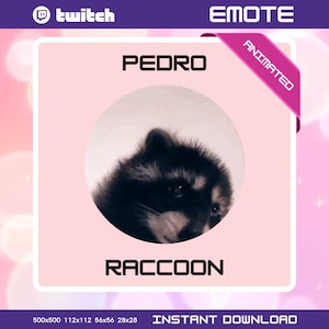 Pedro Raccoon Twitch Emote Meme Stream Raccoon Emote animated / Discord / Youtube