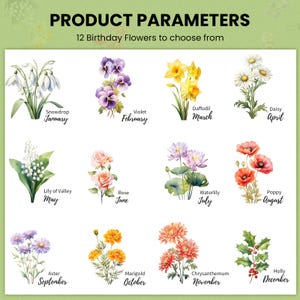 May include: A watercolor illustration of 12 different flowers, each representing a month of the year. The flowers include snowdrops, violets, daffodils, daisies, lily of the valley, roses, waterlilies, poppies, asters, marigolds, chrysanthemums, and holly.