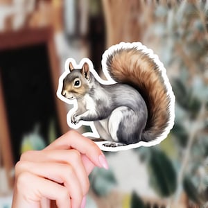 Cute Squirrel Drawing Sticker - Compact Vinyl Decal for Laptops, Tablets, Water Bottles - Ideal Gift for Kids, Adults, Animal Enthusiasts