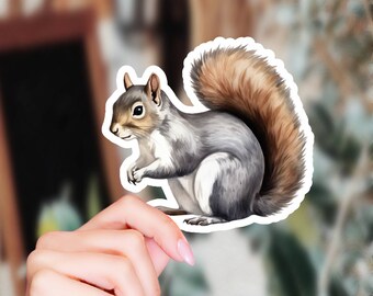 Cute Squirrel Drawing Sticker - Compact Vinyl Decal for Laptops, Tablets, Water Bottles - Ideal Gift for Kids, Adults, Animal Enthusiasts